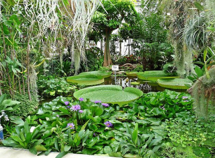 Old Botanical Garden of Göttingen University, Göttingen, Germany, Germany